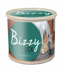Bizzy Horse Bizzy Ball Sliksten Mint