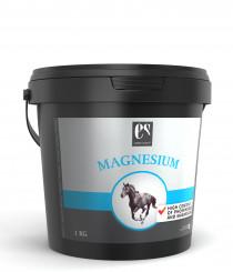 Equsana Magnesium Pulver 1 kg 