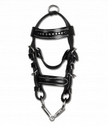 Waldhausen Trense Miniature incl. bid