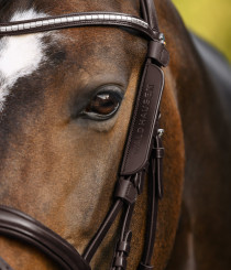 Waldhausen Blinkers Brun