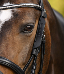 Waldhausen Blinkers Sort