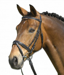 Star Trense Lifestyle Sort/Hvid