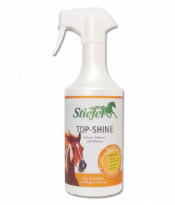 Showshine Stiefel 750 Ml