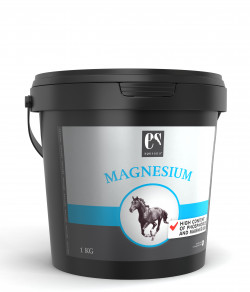 Equsana Magnesium Pulver 1 kg