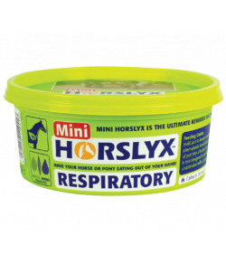 Horslyx Slikkesten Mini 650 gr