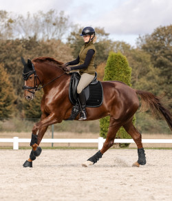 Waldhausen Sadelunderlag St. Gallen