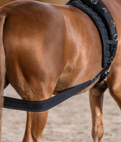 Waldhausen Body Bandage